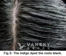 260804111141_Hair-Dyed with indigo-s.jpg